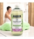 Shampooing antipelliculaire BIO lierre - 500ml - Coslys