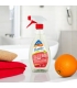 Nettoyant brillance salle de bains écologique orange - 500ml Etamine du Lys