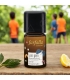 Synergie d\'huiles essentielles Envie d\'apprendre - 5ml - Farfalla