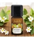 Synergie d\'huiles essentielles Anti-stress - 5ml - Farfalla