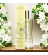 BIO-Eau de Cologne Frangipani - 50ml - Farfalla