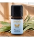 Huile essentielle Palmarosa BIO - 5ml - Farfalla