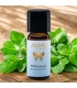 Huile essentielle Menthe poivrée BIO - 10ml - Farfalla