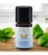 Ätherisches Öl Ravintsara BIO - 5 ml - Farfalla