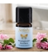 Huile essentielle Géranium rosat BIO - 5ml - Farfalla