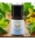 Huile essentielle Ylang Ylang complet BIO - 5ml - Farfalla