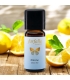 Ätherisches Öl Zitrone BIO - 10ml - Farfalla