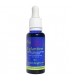 BIO-Beruhigungsfluid Haselnuss & Lavandel - 30ml - Douces Angevines