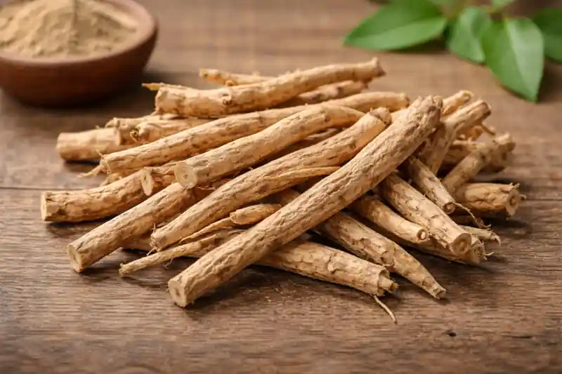 Ashwagandha en poudre bio, racine ayurvédique dite ginseng indien