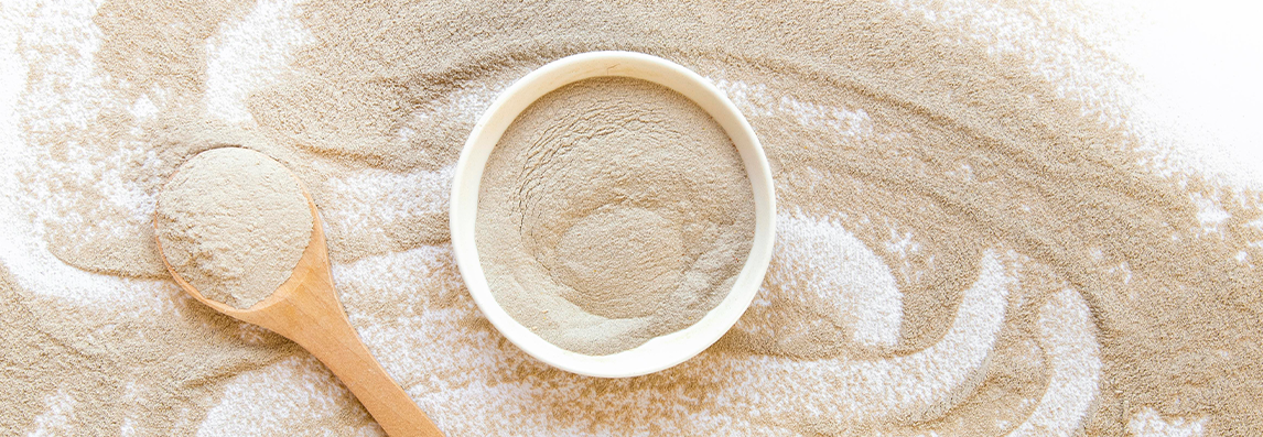 Terre de diatomée : utilisations, efficacité et précautions