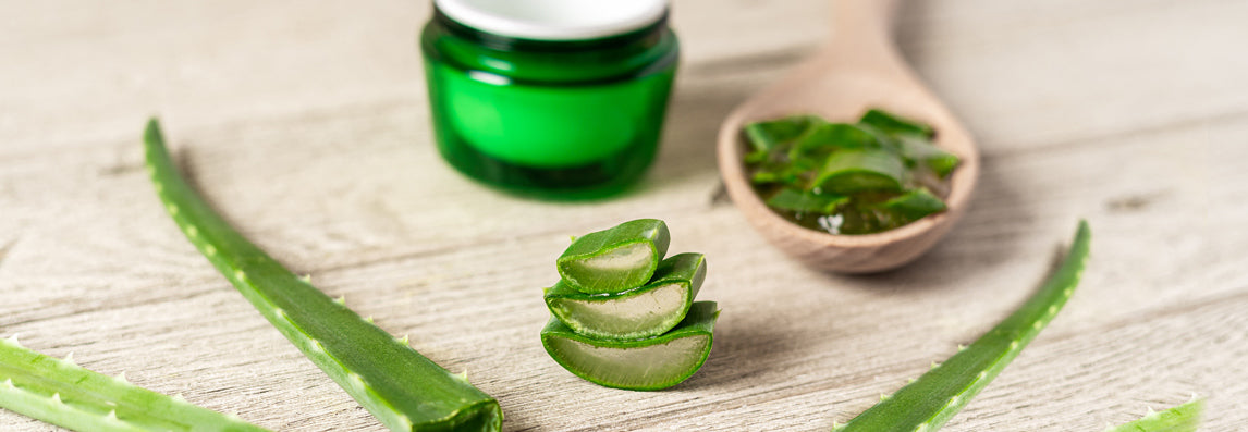 L'aloe vera, une plante aux propriétés méconnues