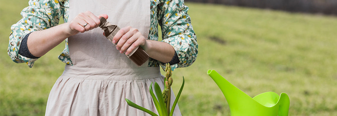 Utilisations du savon noir au jardin et sur les plantes