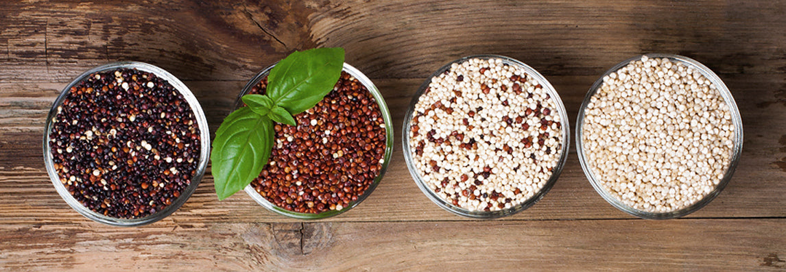 Quinoa : tout savoir sur l'or des Incas