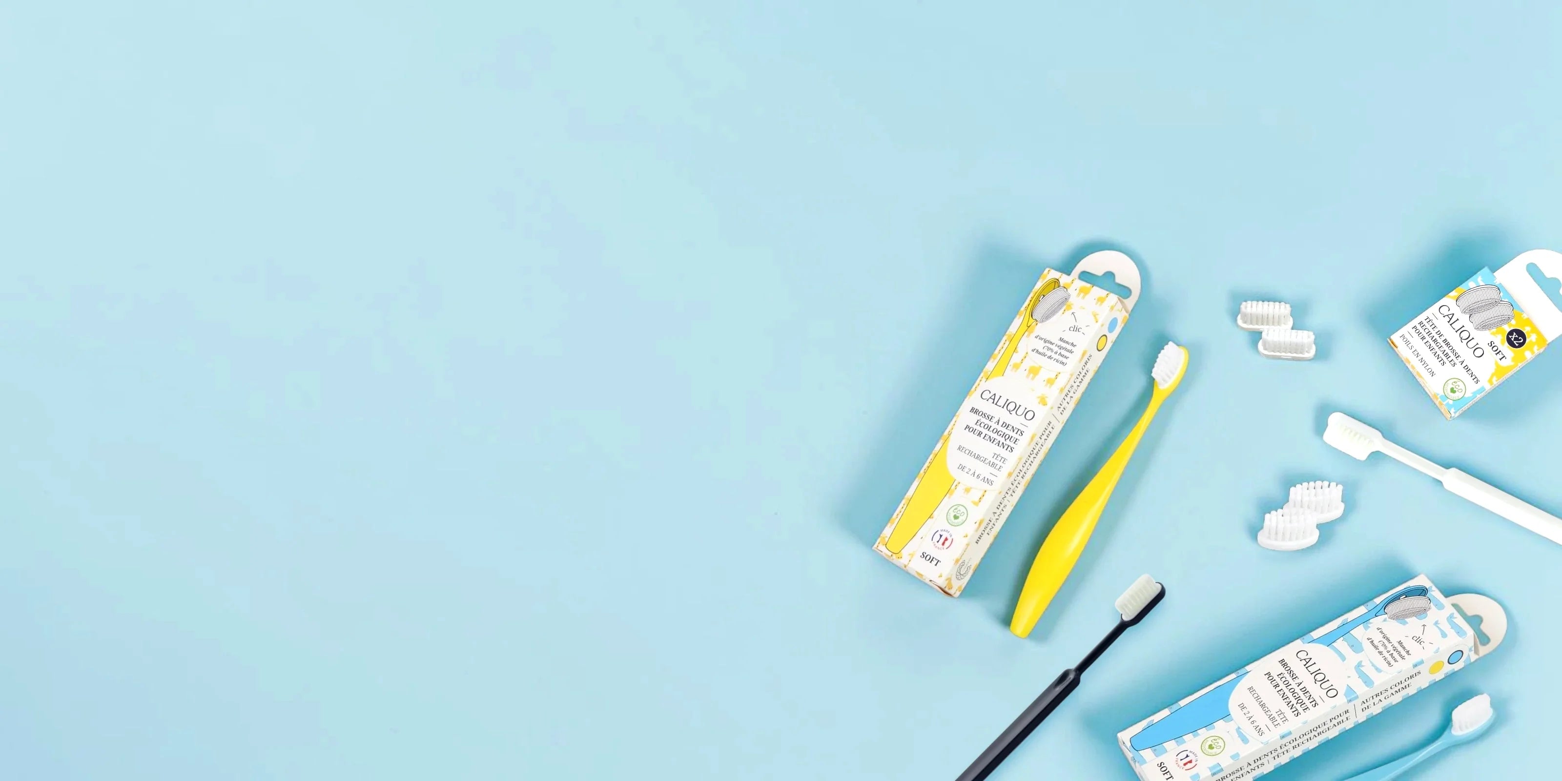 Caliquo : brosses à dents rechargeables Made in France