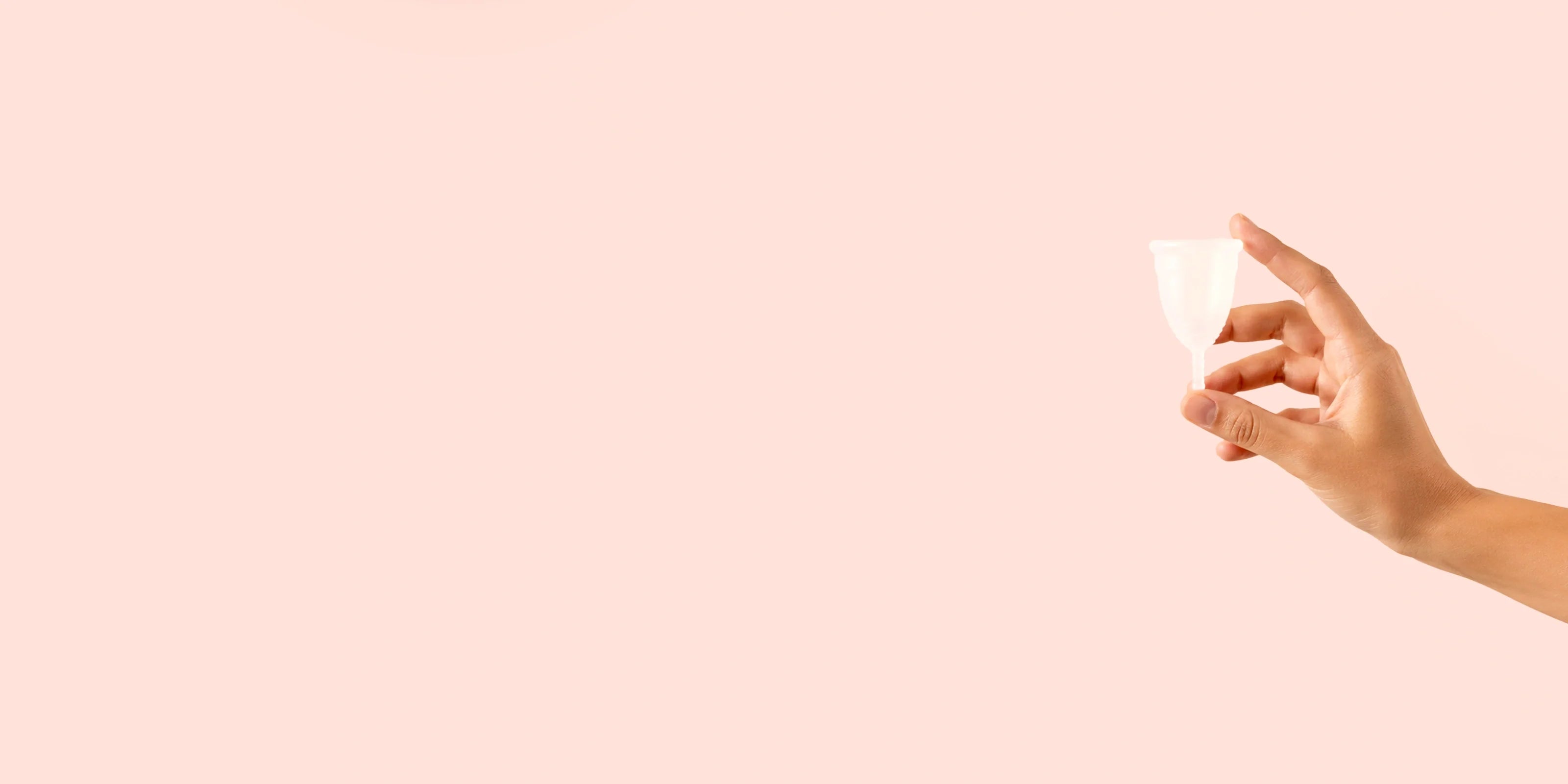 Cup menstruelle