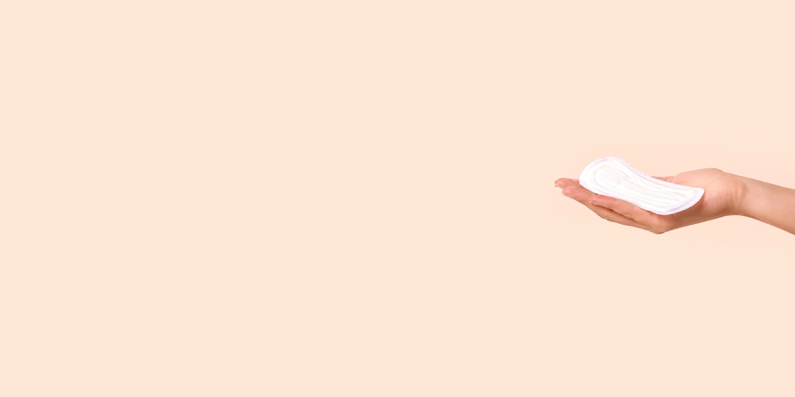 Protection incontinence bio