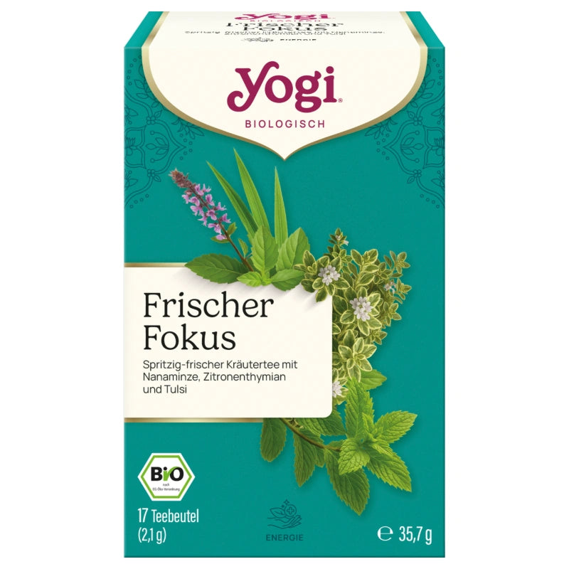 Infusion menthe, thym citronné & tulsi BIO Menthe Concentration