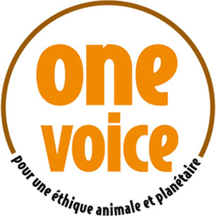 One Voice
