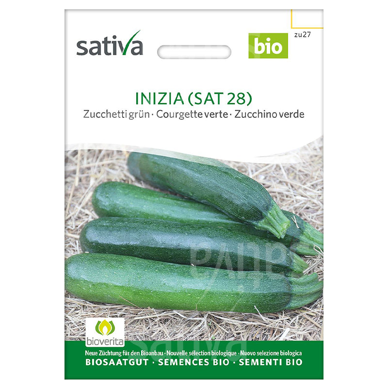 Semences inizia courgette verte BIO