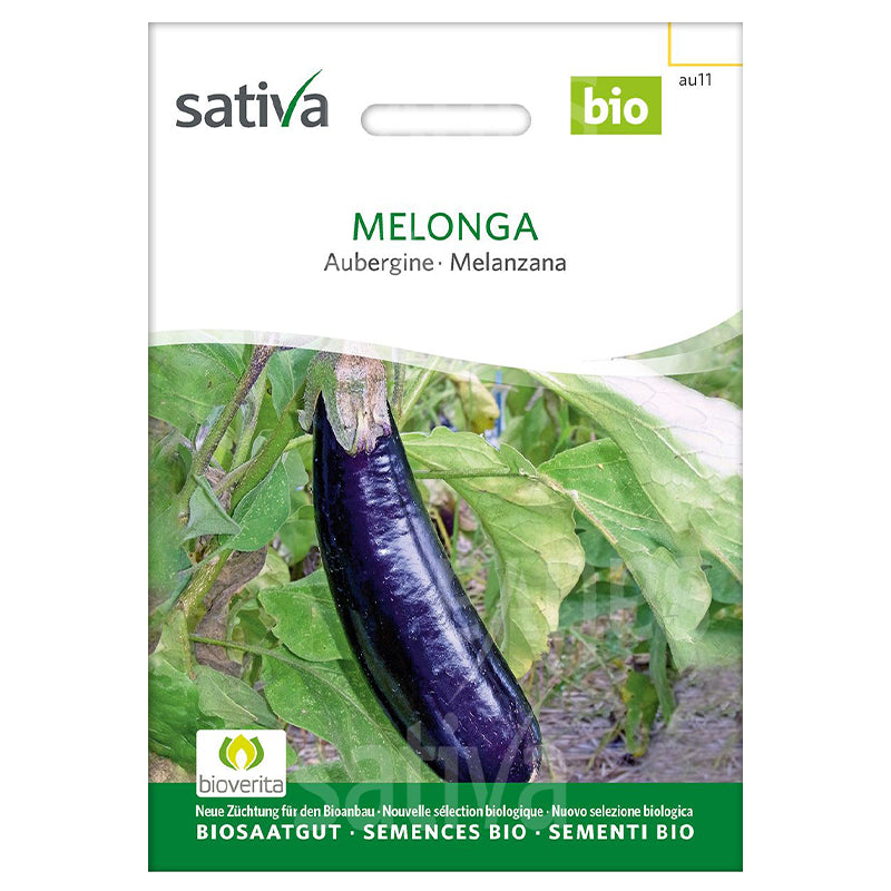 Semences meronda aubergines BIO