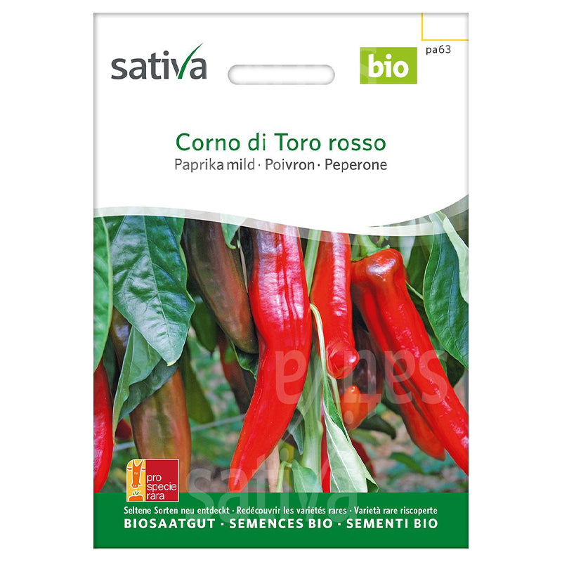 Semences corno di toro rosso poivron BIO