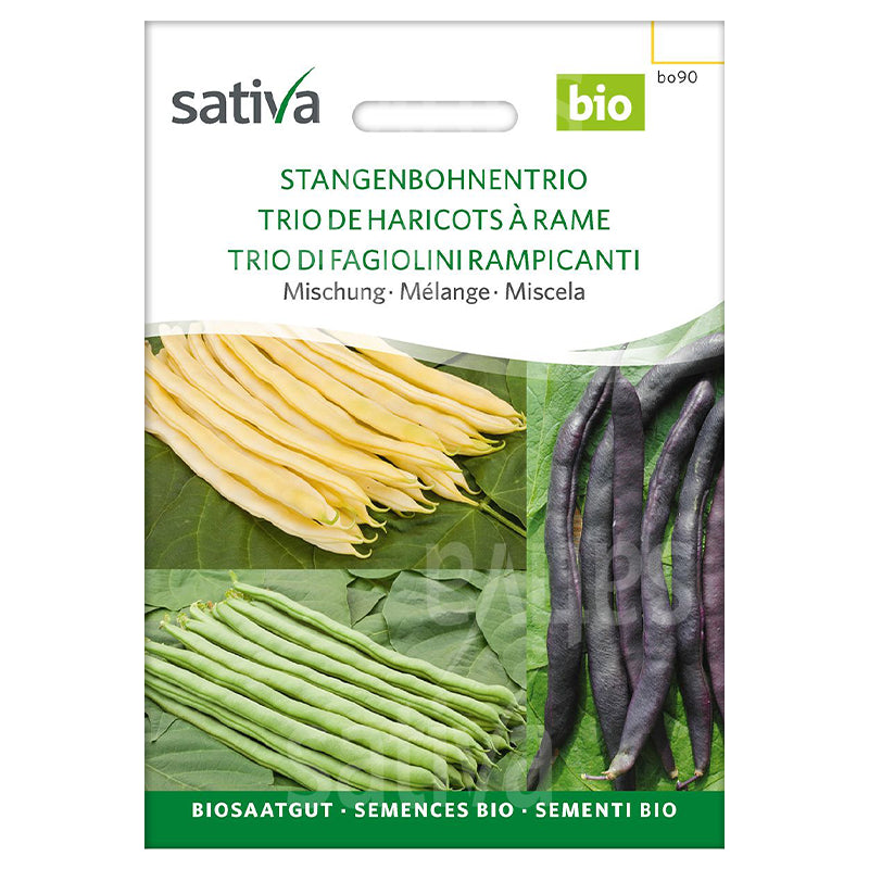 Semences trio de haricots à rame BIO