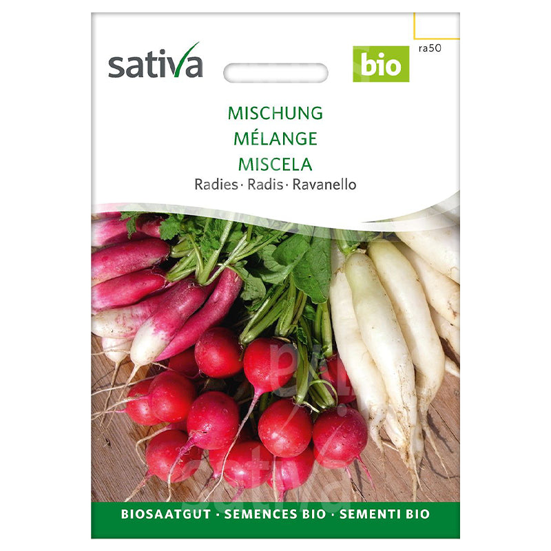 Mélange de semences radis BIO