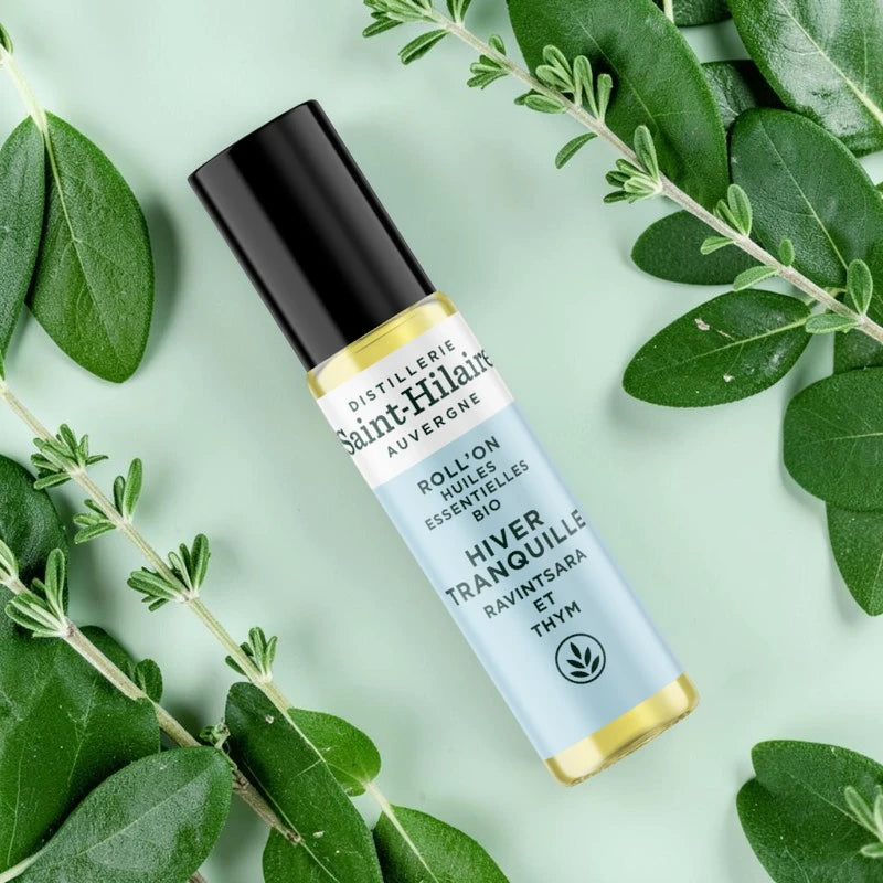 Roll-on Ruhiger Winter Ravintsara & Thymian BIO