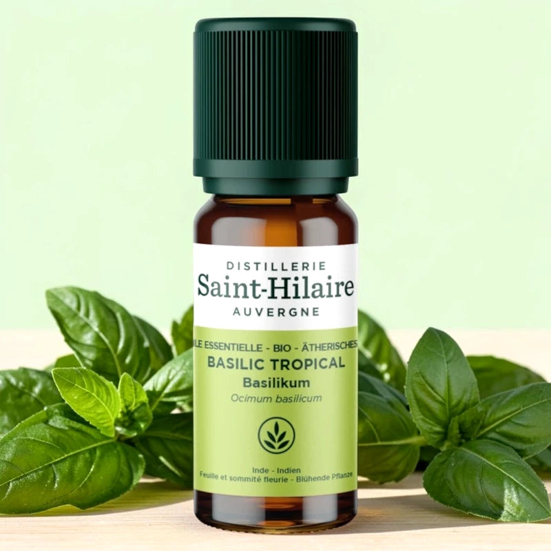 Huile essentielle Basilic tropical BIO
