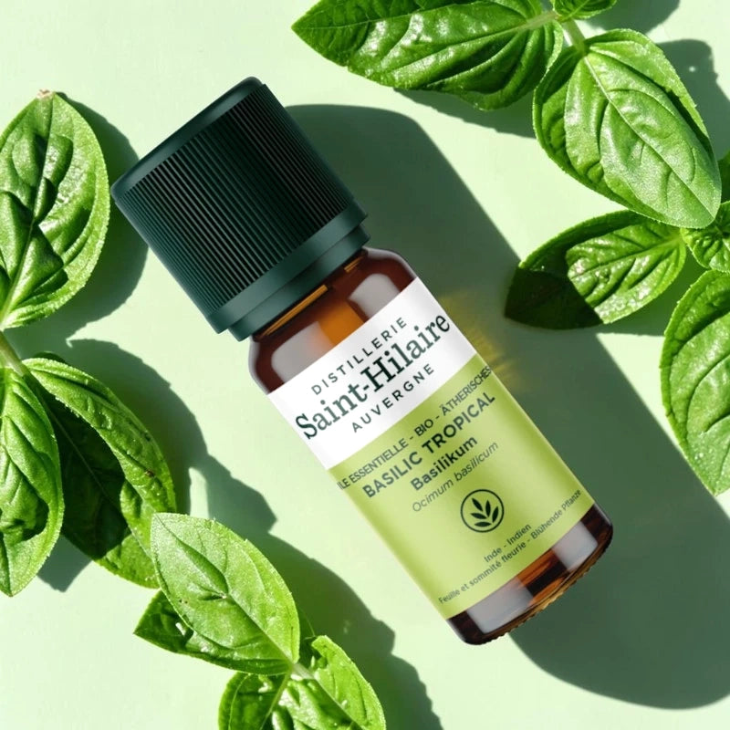 Huile essentielle Basilic tropical BIO