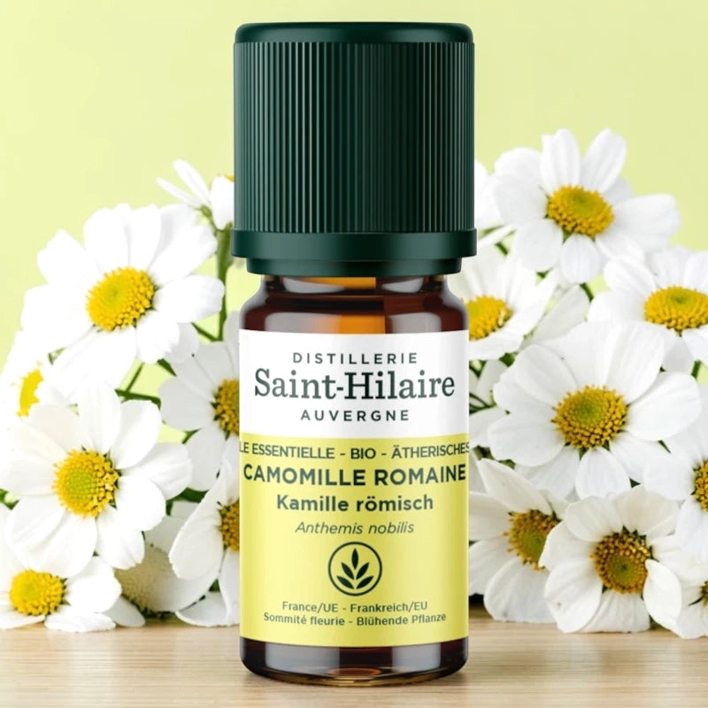 Huile essentielle Camomille romaine BIO