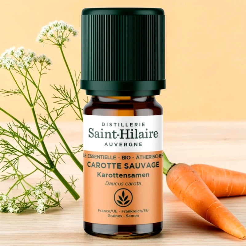 Huile essentielle Carotte sauvage BIO