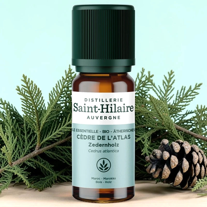 Huile essentielle Cèdre de l'Atlas BIO