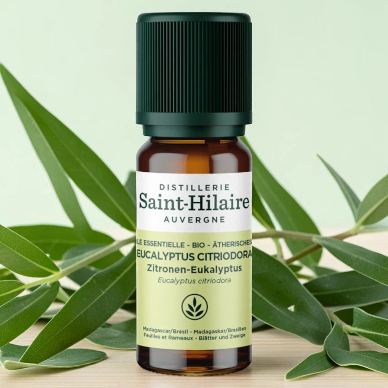 Huile essentielle Eucalyptus citronné BIO - 10ml