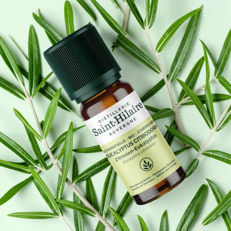 Huile essentielle Eucalyptus citronné BIO - 10ml