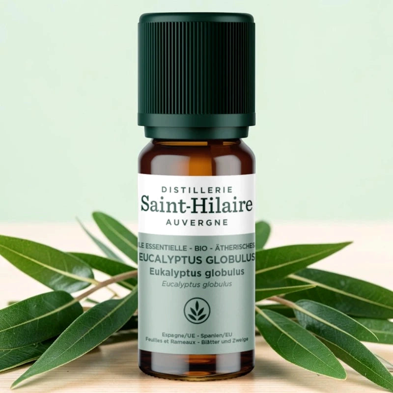 Huile essentielle Eucalyptus globulus BIO