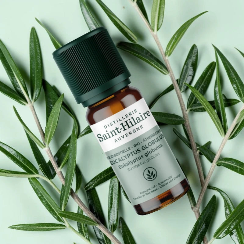 Huile essentielle Eucalyptus globulus BIO