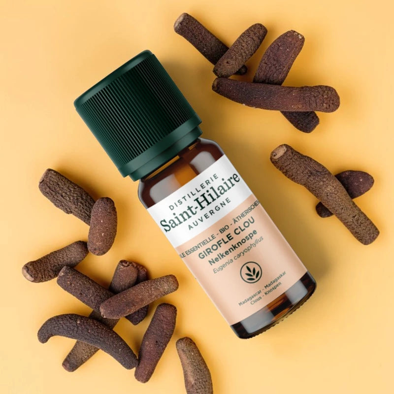 Huile essentielle Girofle clou BIO