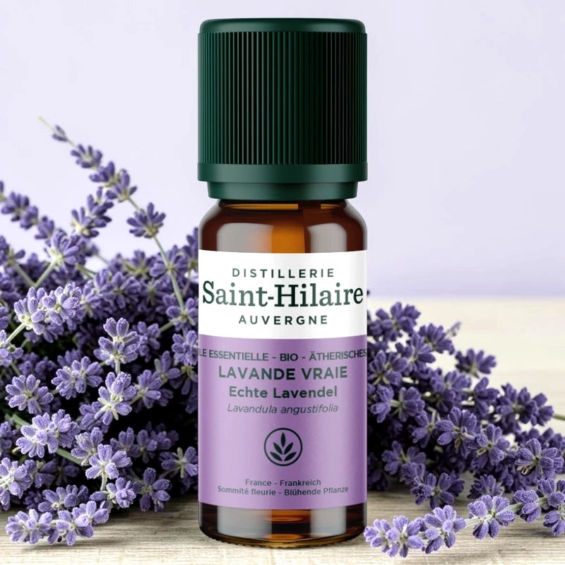 Ätherisches Öl Echter Lavendel BIO – 10ml