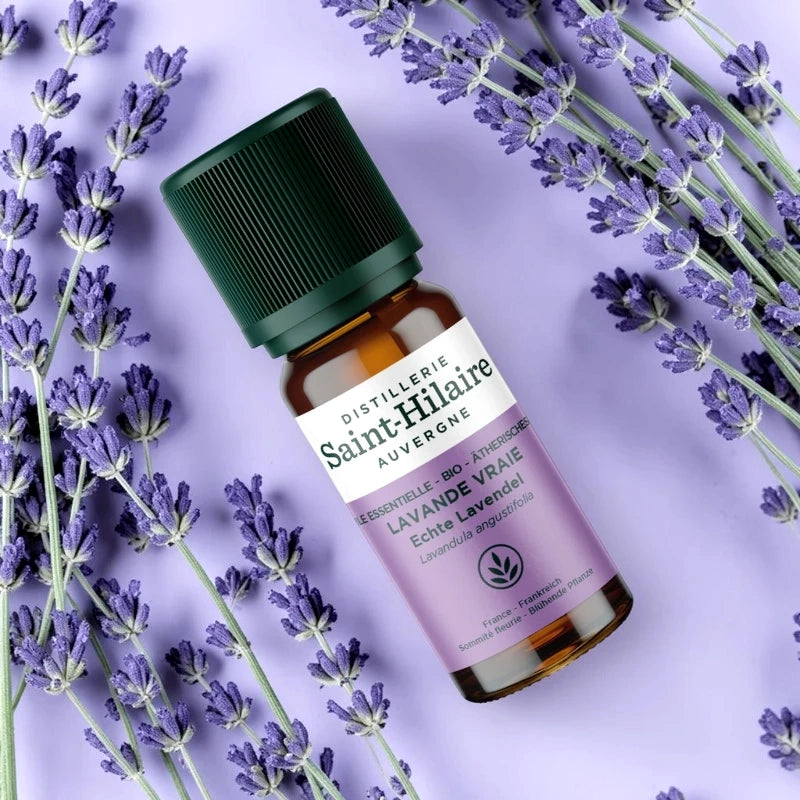 Ätherisches Öl Echter Lavendel BIO – 10ml