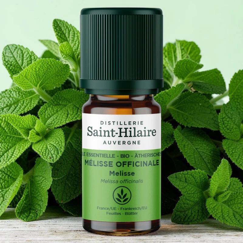 Huile essentielle Mélisse officinale BIO