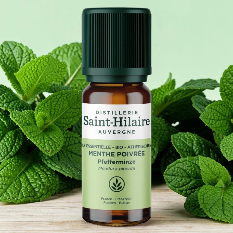 Ätherisches Öl Pfefferminze BIO – 10ml