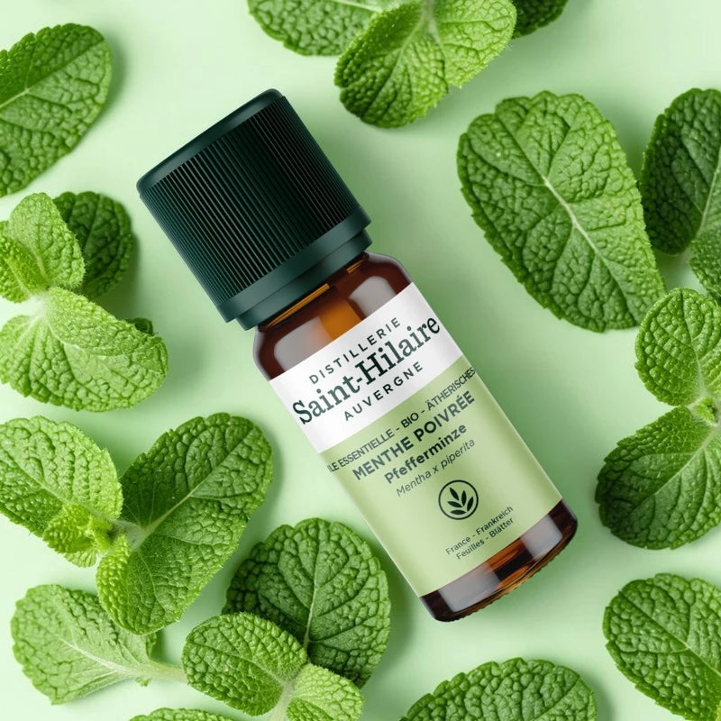 Ätherisches Öl Pfefferminze BIO – 10ml