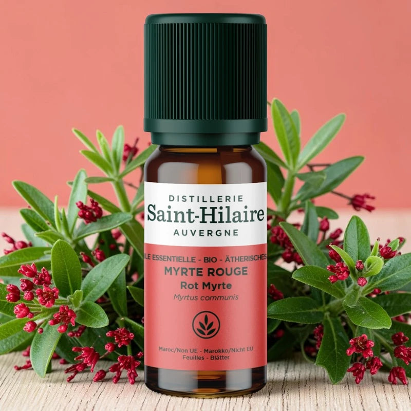 Huile essentielle Myrte rouge BIO