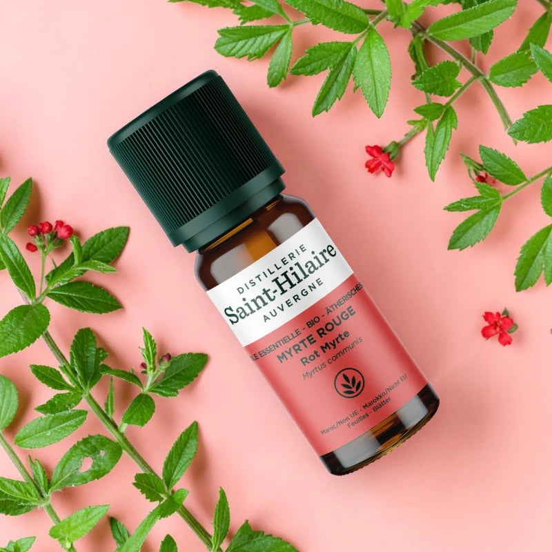 Huile essentielle Myrte rouge BIO