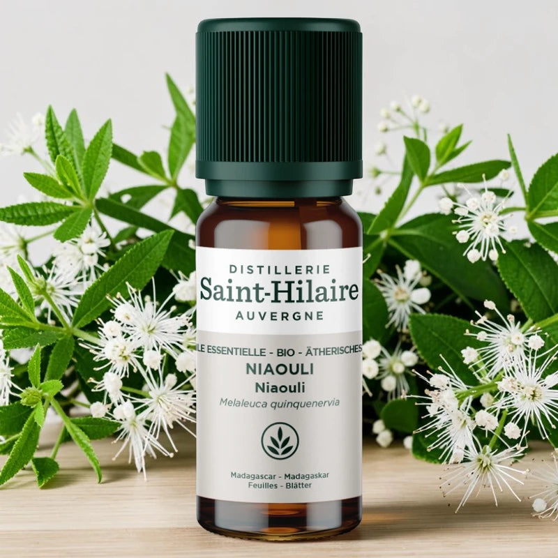 Huile essentielle Niaouli BIO