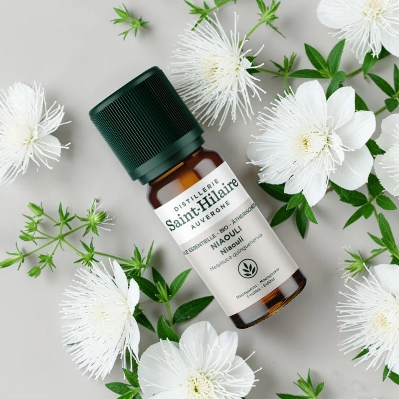 Huile essentielle Niaouli BIO