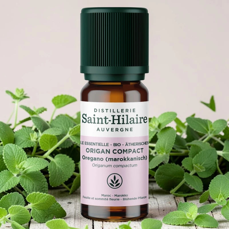 Huile essentielle Origan compact BIO