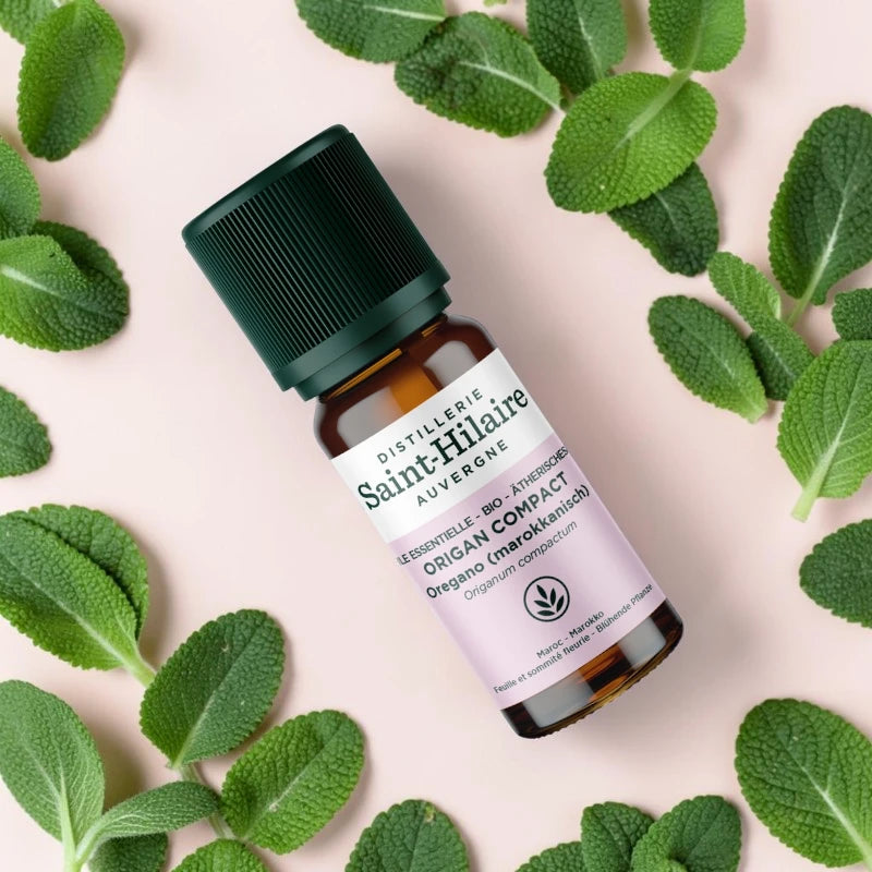 Huile essentielle Origan compact BIO