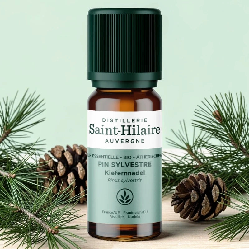 Huile essentielle Pin sylvestre BIO